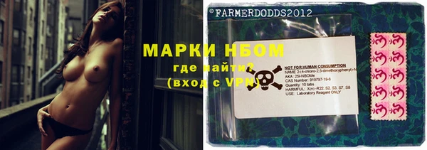 прущие грибы Арсеньев
