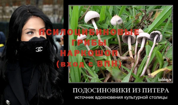 прущий лед Алексин