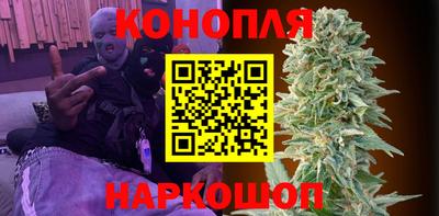 хмурый Шелехов