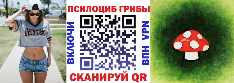 Псилоцибиновые грибы Psilocybe  где продают наркотики  Лобня 