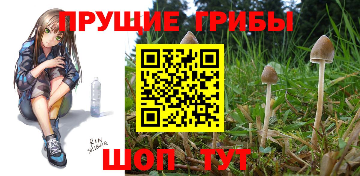Лобня  Галлюциногенные грибы мухоморы  наркошоп  Вход с VPN 